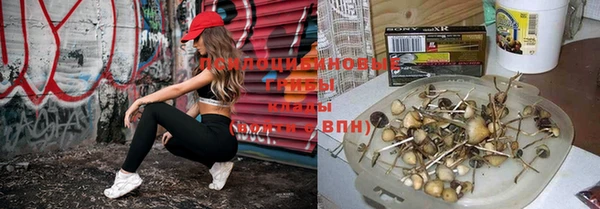 крисы Алексеевка