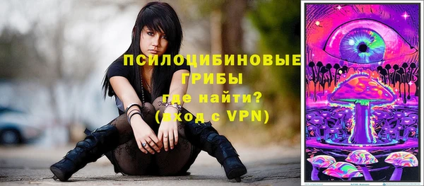 крисы Алексеевка