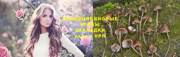 гидра Алексин