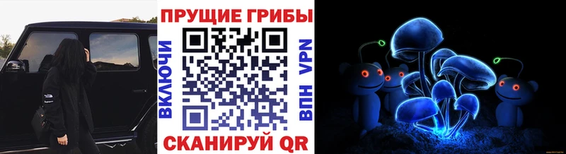 Галлюциногенные грибы ЛСД купить наркотики цена Сясьстрой