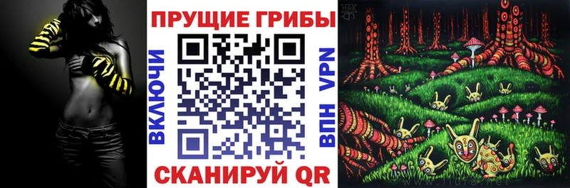 Псилоцибиновые грибы мицелий Сясьстрой